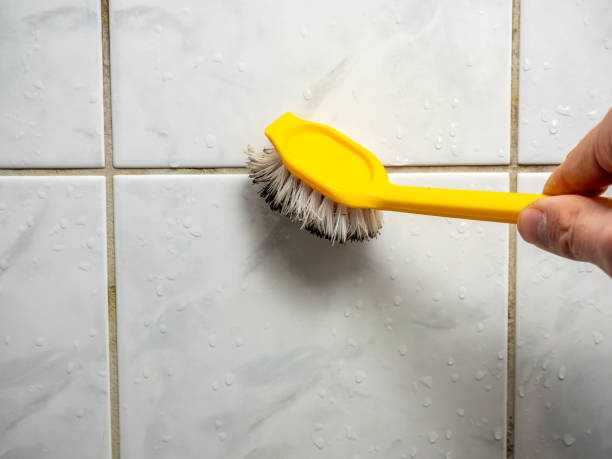 Best Local Mold Removal Service  in Buchanan, GA