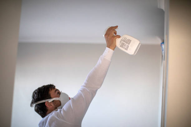 Best Mold Removal Near Me  in Buchanan, GA