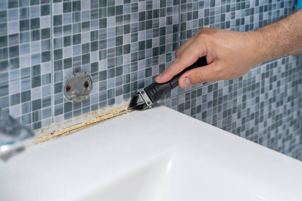 Best Mold Remediation  in Buchanan, GA