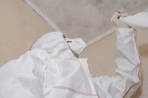 Best Mold Damage Repair  in Buchanan, GA